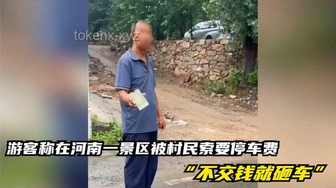 游客停车被打事件解析，当地官方如何回应